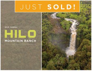 SOLD – Hilo Mountain Ranch